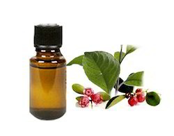 Wintergreen oil